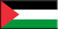 Palestine flag