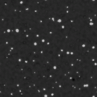 A pattern of dots resembling a starry night sky on a dark grey background